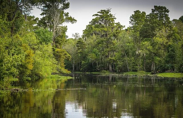  Louisiana United States