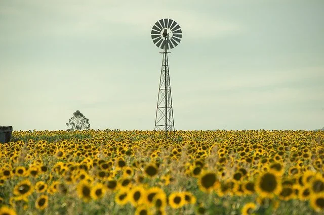 Toowoomba Australia